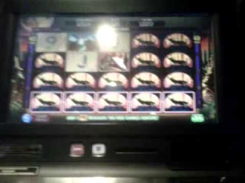 Coyote moon slot machine big win
